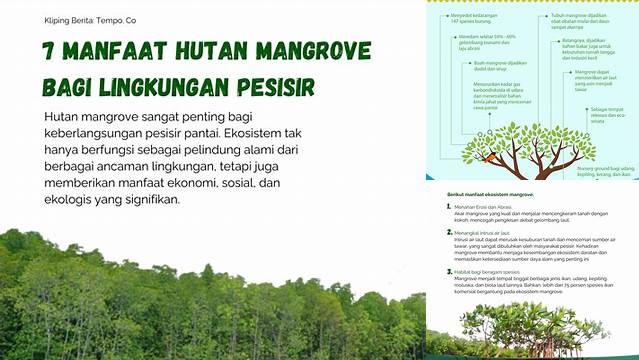 Temukan Manfaat Ekologi Hutan Mangrove yang Wajib Anda Ketahui