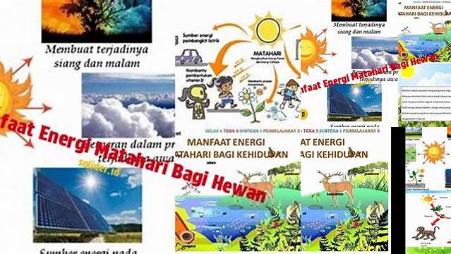 Temukan Manfaat Energi bagi Hewan Yang Jarang Diketahui