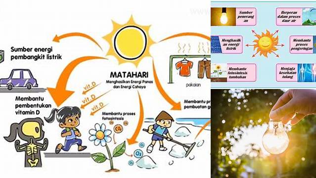 Manfaat Energi Matahari yang Perlu Diketahui untuk Kehidupan
