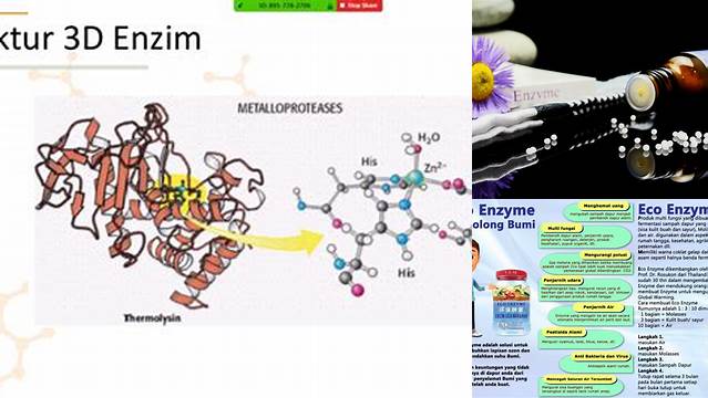 Temukan 9 Manfaat Enzim Bagi Tubuh yang Jarang Diketahui