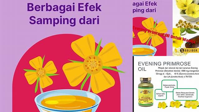 Temukan Manfaat Minyak Evening Primrose yang Jarang Diketahui
