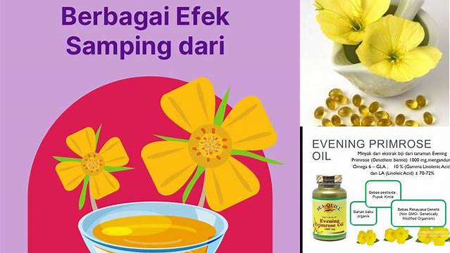 Temukan Manfaat Evening Primrose Oil untuk Wanita yang Jarang Diketahui