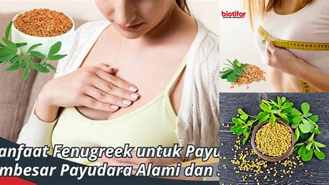 Temukan Manfaat Fenugreek untuk Payudara yang Jarang Diketahui