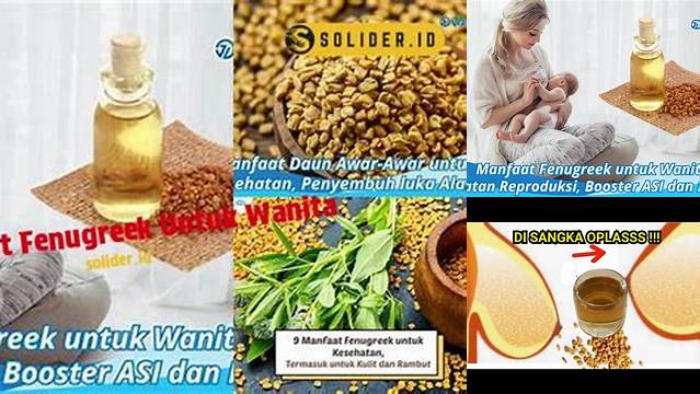 Manfaat Fenugreek untuk Wanita yang Jarang Diketahui, Wajib Baca!