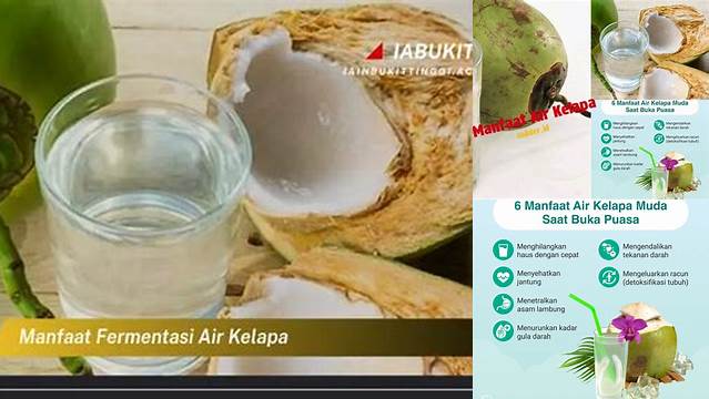 Temukan 10 Manfaat Fermentasi Air Kelapa yang Jarang Diketahui