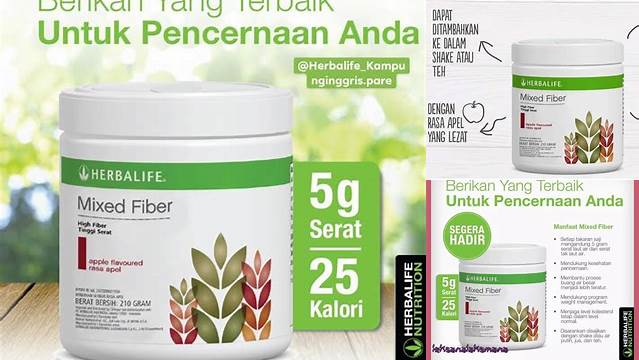Manfaat Fiber Herbalife: 5 Hal Jarang Diketahui