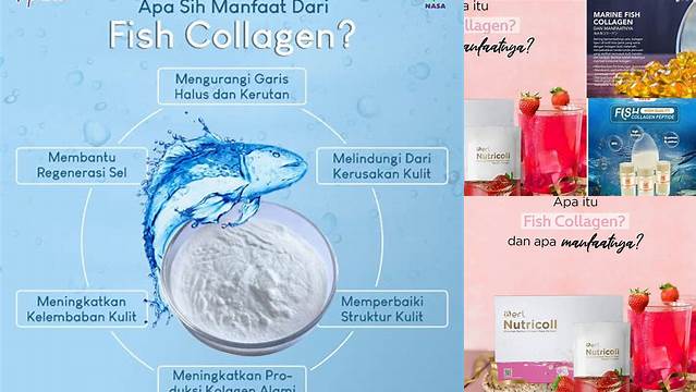 Temukan Manfaat Fish Collagen yang Jarang Diketahui