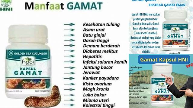 Temukan Manfaat Gamat HPAI yang Jarang Diketahui