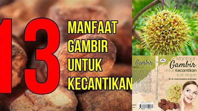 Manfaat Gambir untuk Wajah yang Jarang Diketahui, Wajib Tahu!