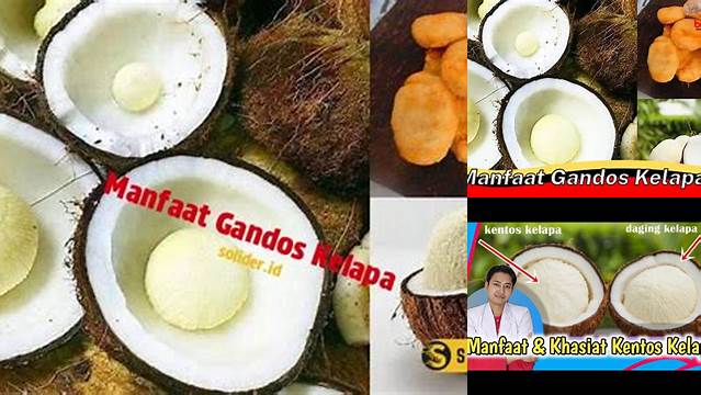 Manfaat Gandos Kelapa Jarang Diketahui, Yuk Kepoin!