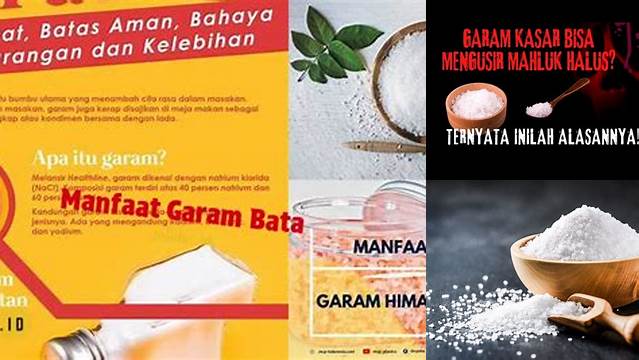 Manfaat Garam Bata yang Wajib Diketahui