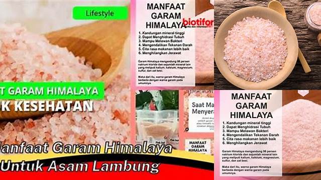 Temukan Manfaat Garam Himalaya untuk Asam Lambung yang Jarang Diketahui