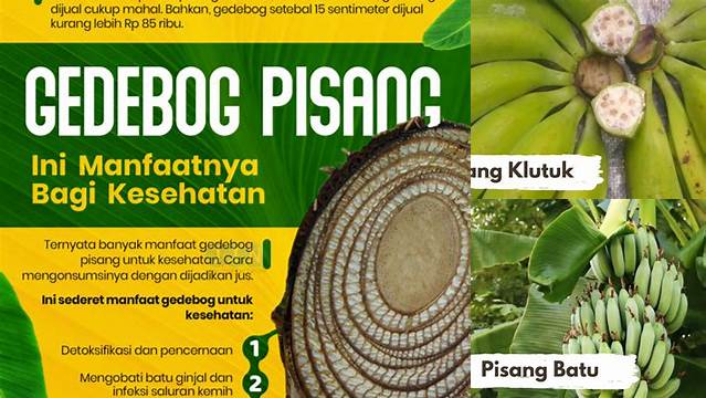 Temukan Manfaat Gedebog Pisang yang Jarang Diketahui dan Wajib Anda Tahu