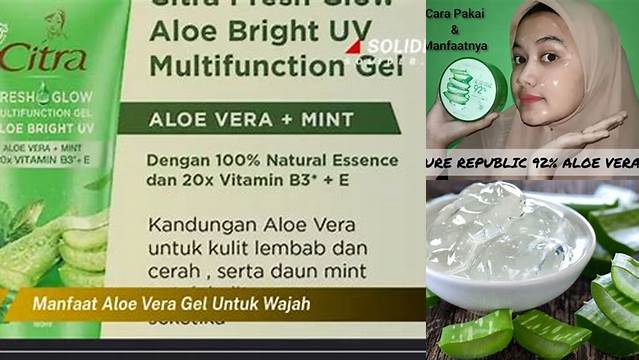 Temukan Manfaat Gel Aloe Vera untuk Wajah yang Jarang Diketahui