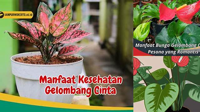 Terkuak Manfaat Gelombang Cinta yang Jarang Diketahui