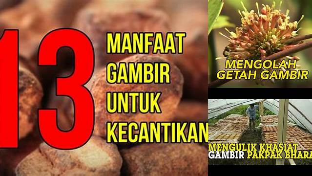 Temukan Rahasia Manfaat Getah Gambir yang Jarang Diketahui