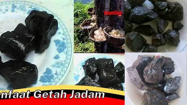 Manfaat Getah Jadam yang Jarang Diketahui, Wajib Anda Ketahui!