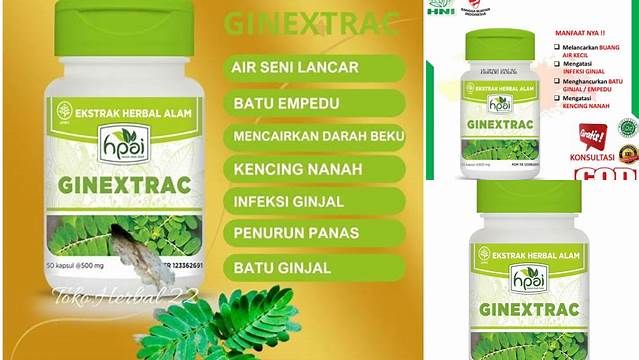Temukan Manfaat Ginextrac HPAI yang Jarang Diketahui