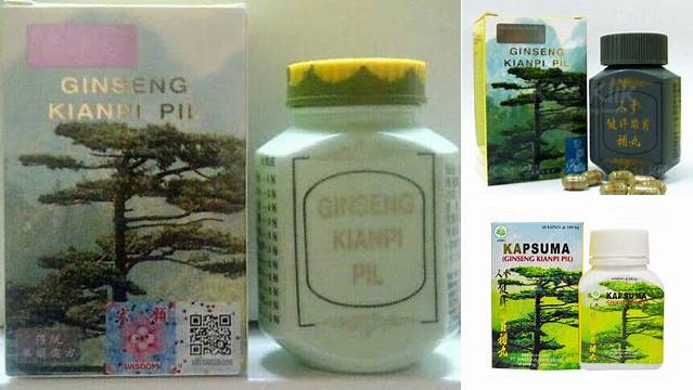 Manfaat Ginseng Kianpi Pil: Temukan Khasiatnya yang Jarang Diketahui