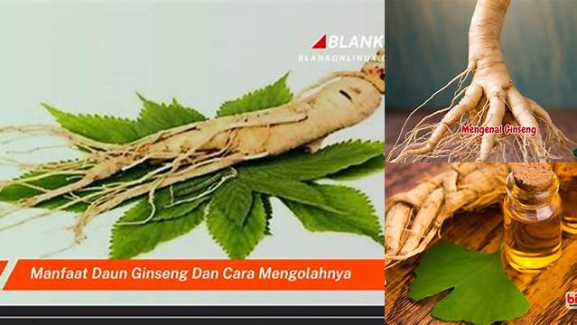 Manfaat Ginseng untuk Kesehatan yang Jarang Diketahui