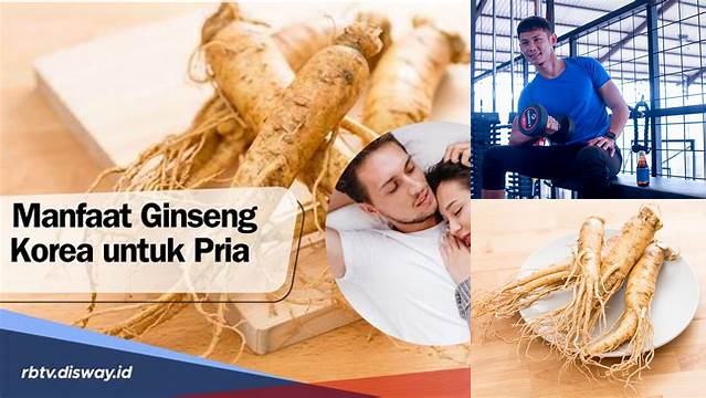 Temukan 9 Manfaat Ginseng untuk Pria yang Jarang Diketahui