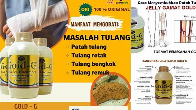 Temukan 10 Manfaat Gold G untuk Tulang yang Jarang Diketahui