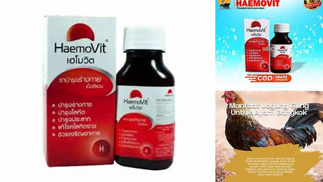 Temukan Manfaat Haemovit untuk Ayam Aduan yang Jarang Diketahui
