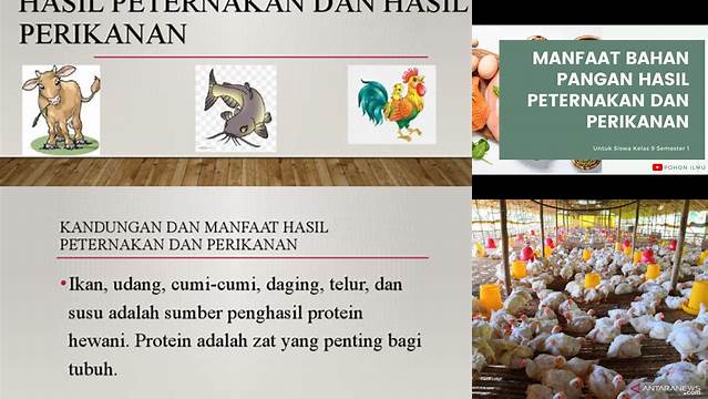 Temukan 8 Manfaat Hasil Peternakan yang Jarang Diketahui