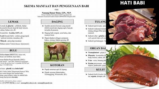 Temukan 6 Manfaat Hati Babi yang Jarang Diketahui