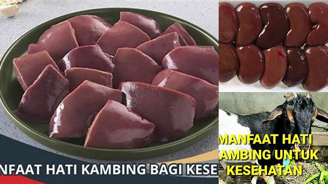 Temukan Manfaat Hati Kambing yang Jarang Diketahui, Dijamin Bikin Penasaran!