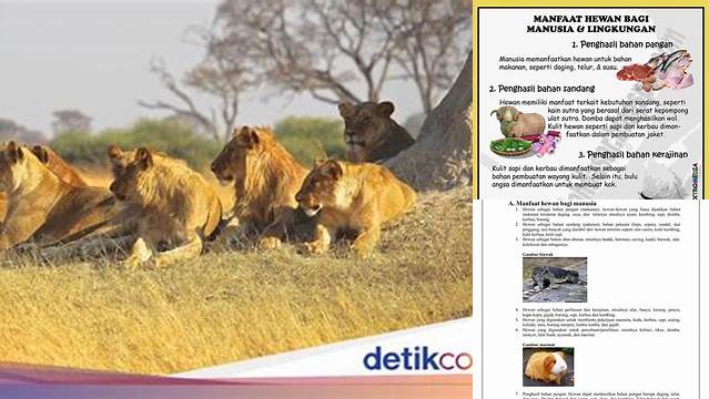 Temukan Manfaat Hewan Bagi Lingkungan Sekitar, Jarang Diketahui!