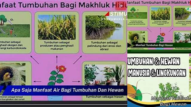 Temukan Manfaat Hewan bagi Tumbuhan yang Jarang Diketahui