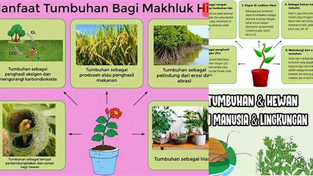 8 Manfaat Hewan dan Tumbuhan yang Jarang Diketahui