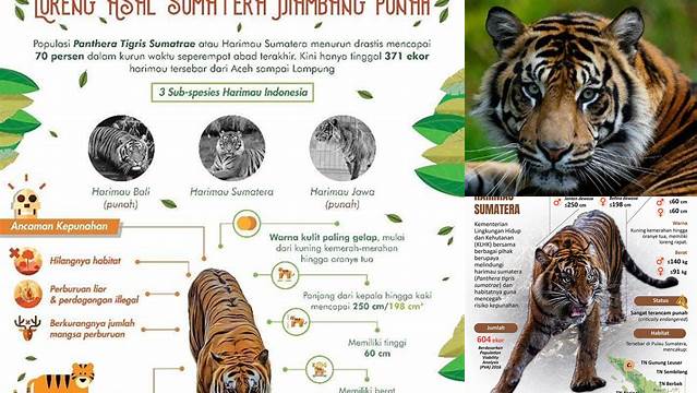 Manfaat Hewan Harimau yang Jarang Diketahui yang Wajib Anda Pahami