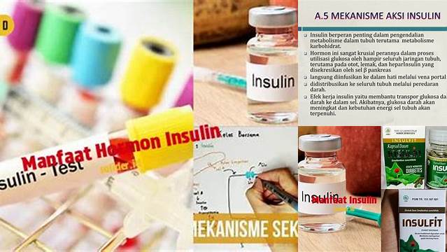 Manfaat Hormon Insulin: Penemuan Ajaib yang Wajib Diketahui
