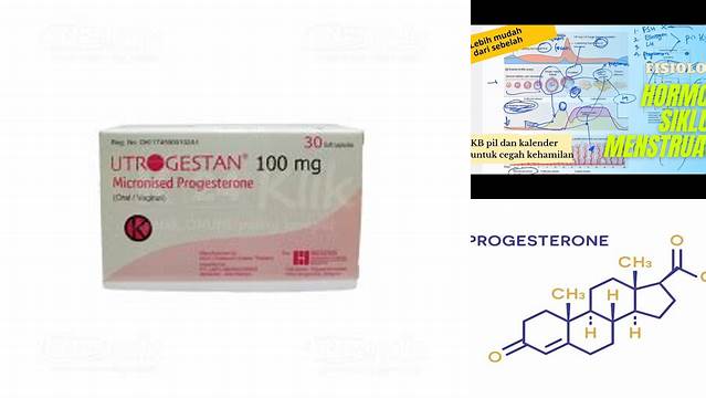 Temukan Beragam Manfaat Hormon Progesteron yang Jarang Diketahui