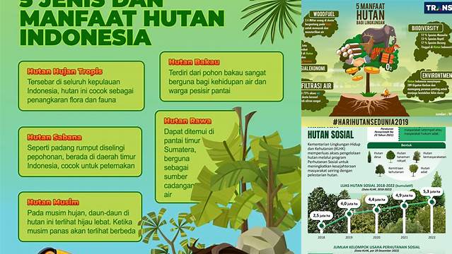 Manfaat Hutan di Indonesia yang Jarang Diketahui, Wajib Anda Ketahui!