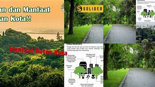 Temukan Manfaat Hutan Kota yang Jarang Diketahui