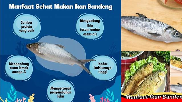 Temukan Manfaat Ikan Bandeng yang Jarang Diketahui