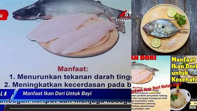 Manfaat Luar Biasa Ikan Dori yang Jarang Diketahui