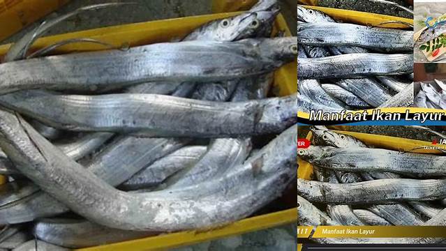 Manfaat Ikan Layur: Temukan Khasiat yang Jarang Diketahui!