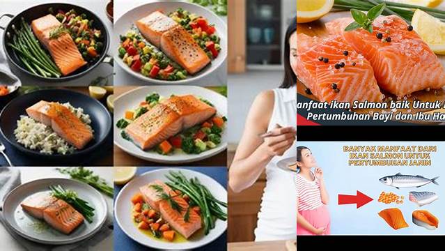 Temukan 9 Manfaat Ikan Salmon untuk Ibu Hamil yang Jarang Diketahui