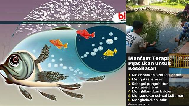 Temukan Rahasia Ikan Terapi yang Jarang Diketahui untuk Kesehatan Anda