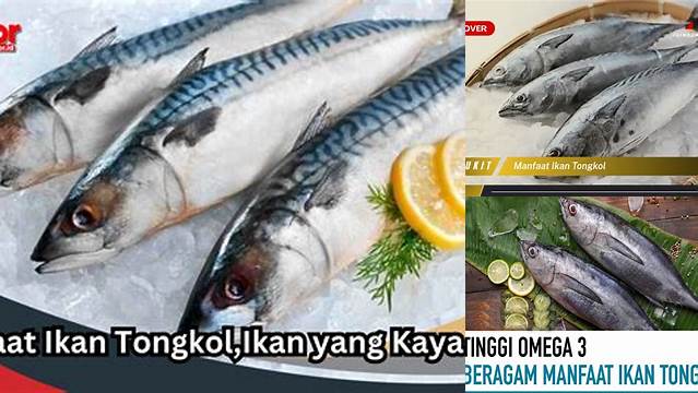 Temukan 10 Manfaat Ikan Tongkol yang Jarang Diketahui!