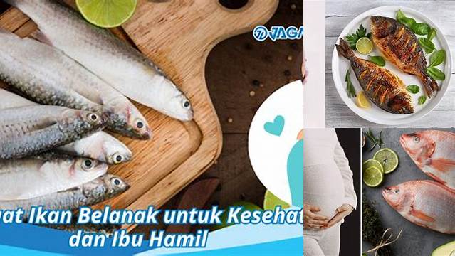 Manfaat Ikan untuk Ibu Hamil: Penemuan dan Wawasan Penting