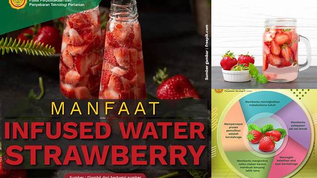 5 Manfaat Tersembunyi Infused Water Strawberry yang Jarang Diketahui