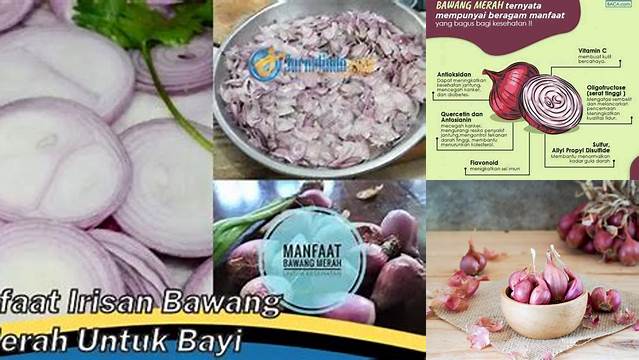 Temukan 8 Manfaat Irisan Bawang Merah untuk Bayi yang Jarang Diketahui