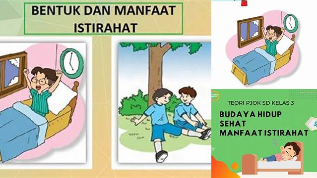 10 Manfaat Istirahat Pelajaran Kelas 3 yang Jarang Diketahui