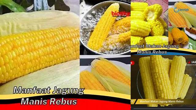 Temukan 6 Manfaat Jagung Manis Rebus yang Jarang Diketahui