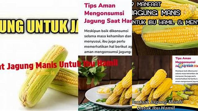 Temukan 7 Manfaat Jagung Manis untuk Ibu Hamil yang Jarang Diketahui